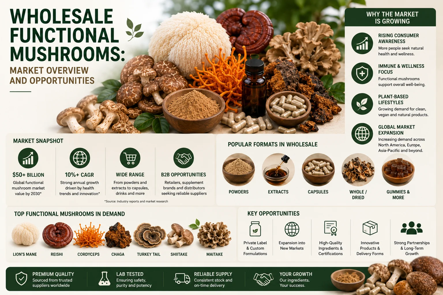 Wholesale Functional Mushrooms: Market Overview and Opportunities