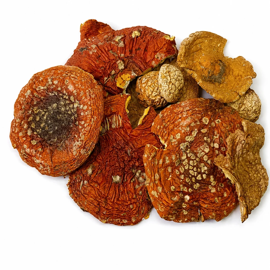 Amanita muscaria whole caps - Grade B