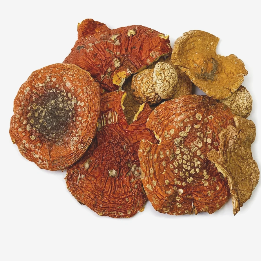 Amanita muscaria whole caps - Grade B
