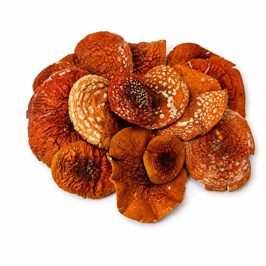 Amanita muscaria wholesale category