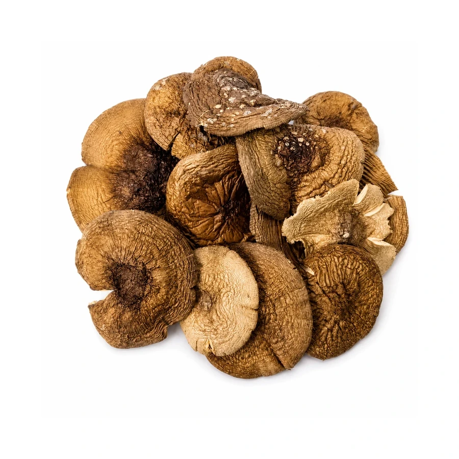 Amanita pantherina wholesale products
