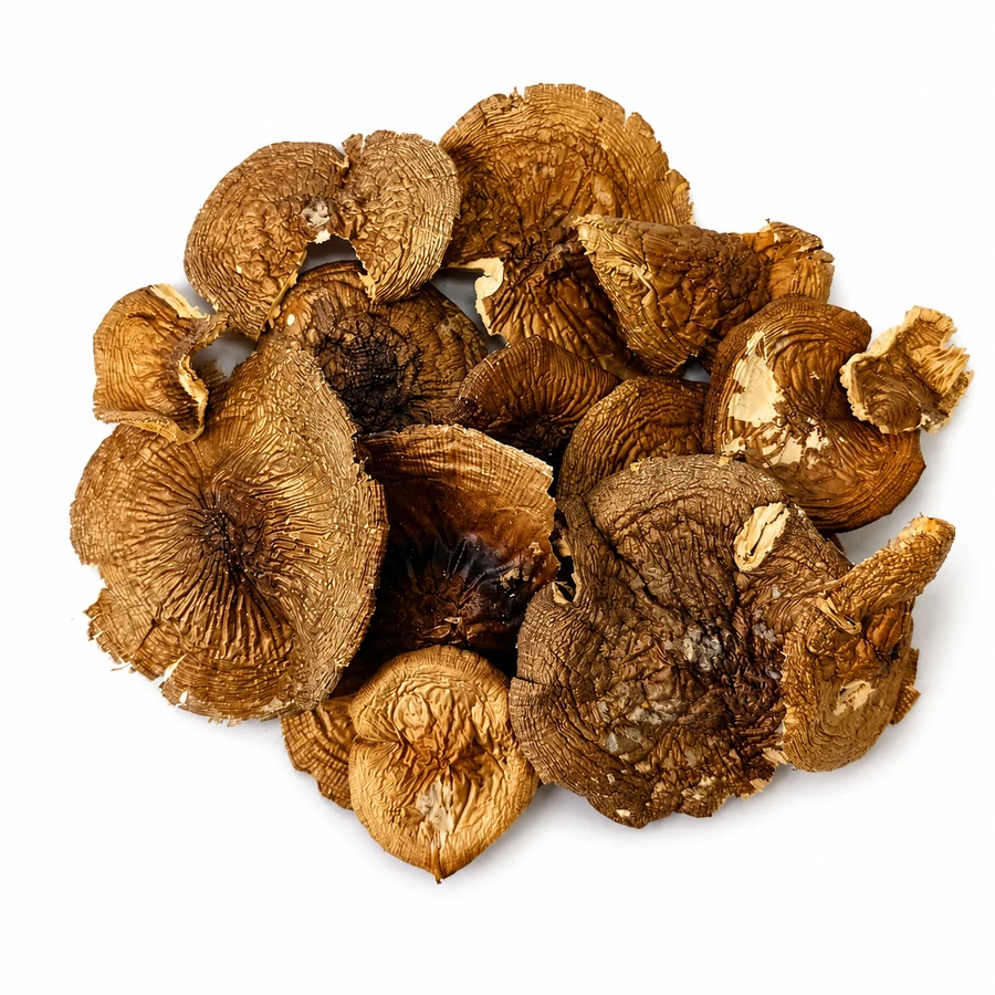 Amanita pantherina whole caps Grade A