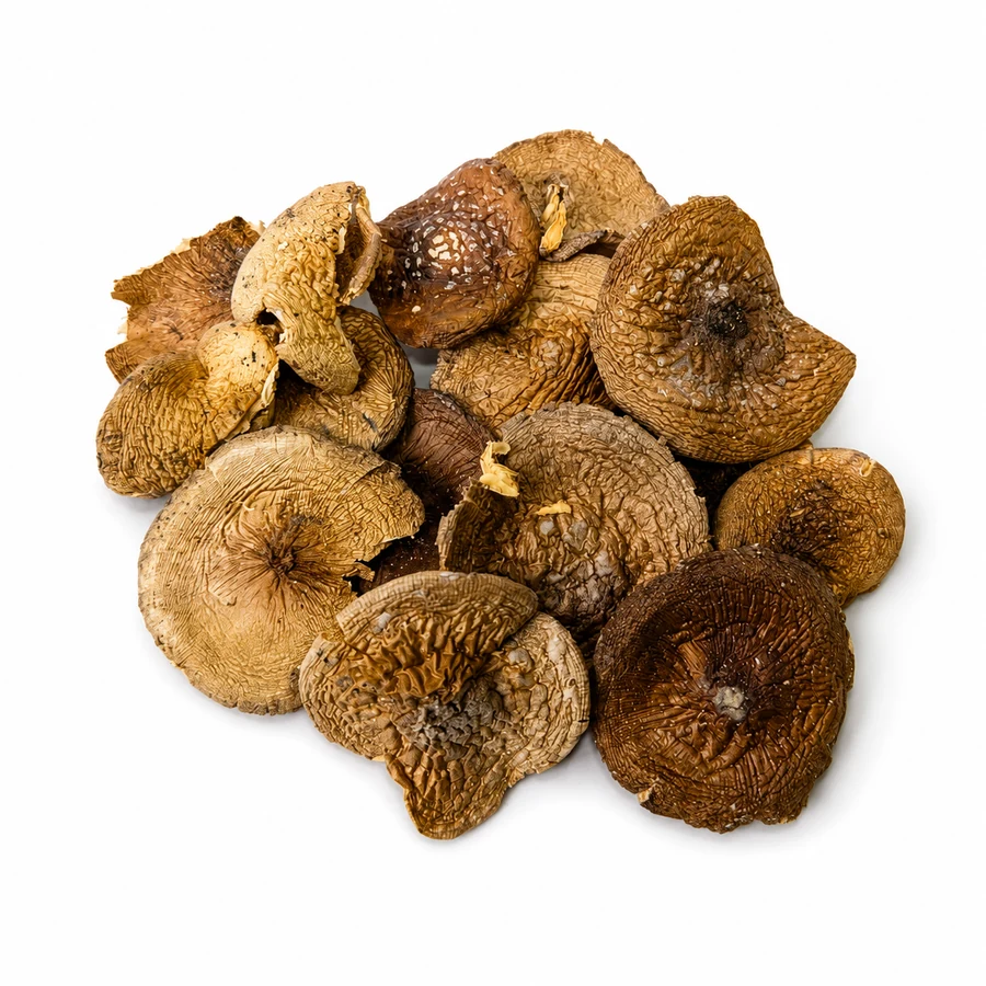 Amanita pantherina whole caps Grade B