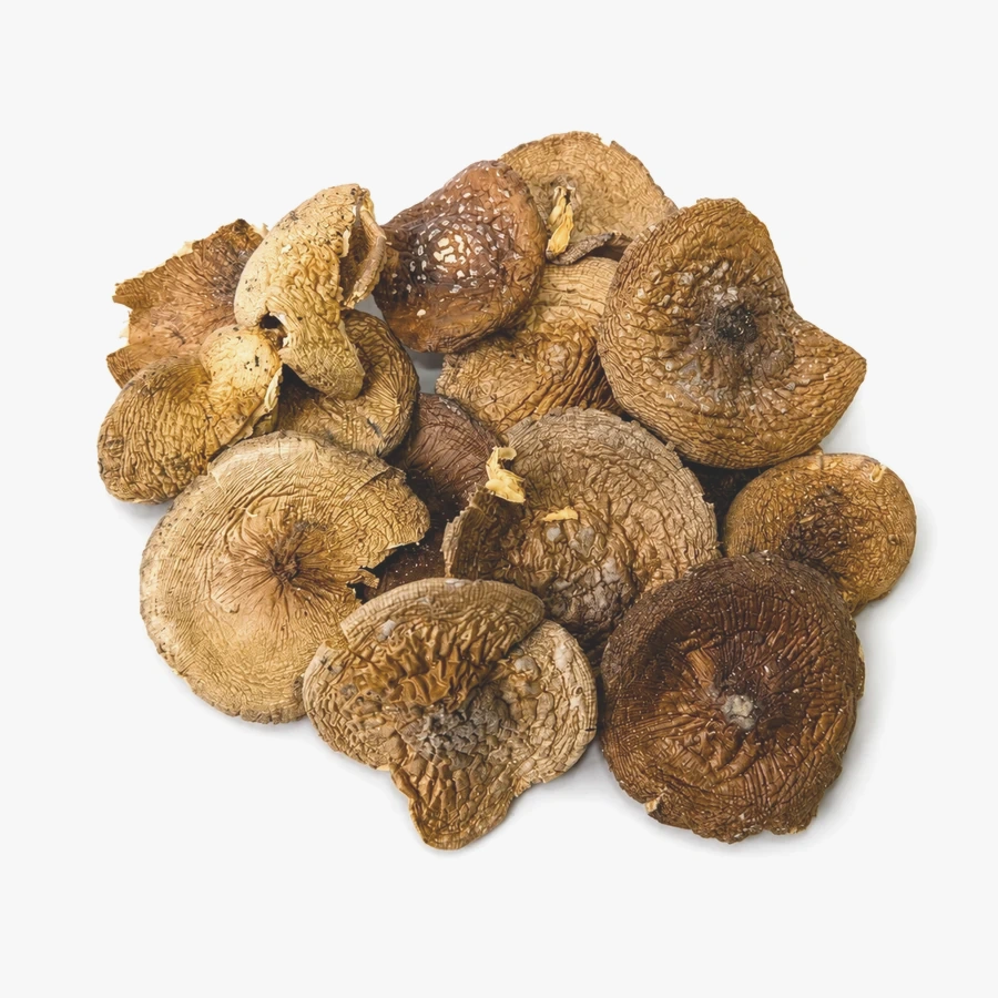Amanita pantherina whole caps Grade B