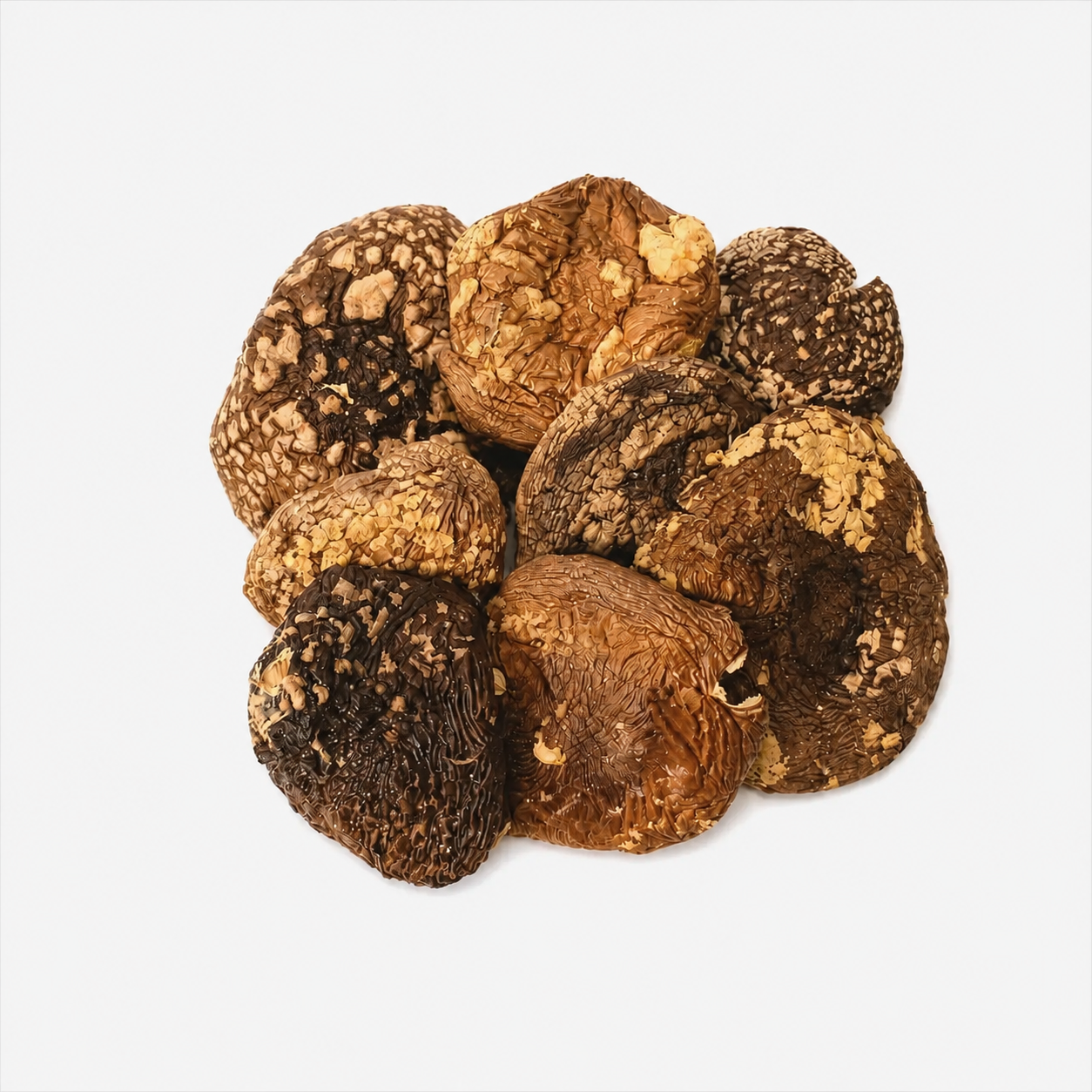 Amanita regalis wholesale products