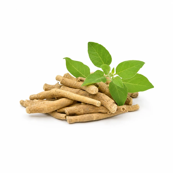 Ashwagandha wholesale products