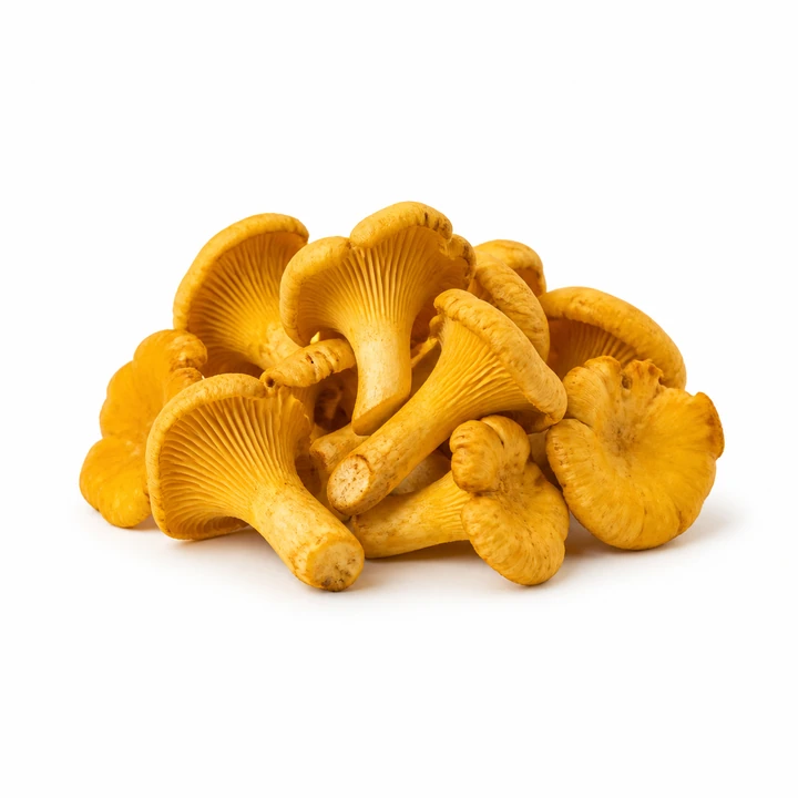 Chanterelle wholesale products
