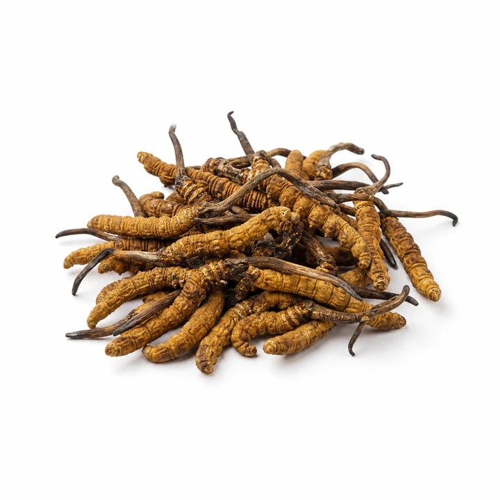 Whole wild Cordyceps sinensis mushrooms - 10 g