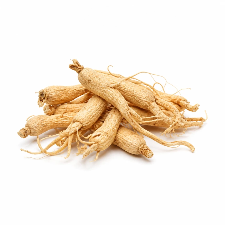 Ginseng root wholesale products