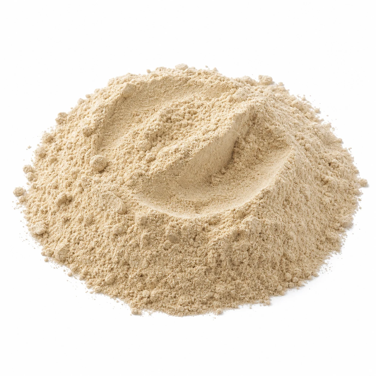 Chanterelle powder