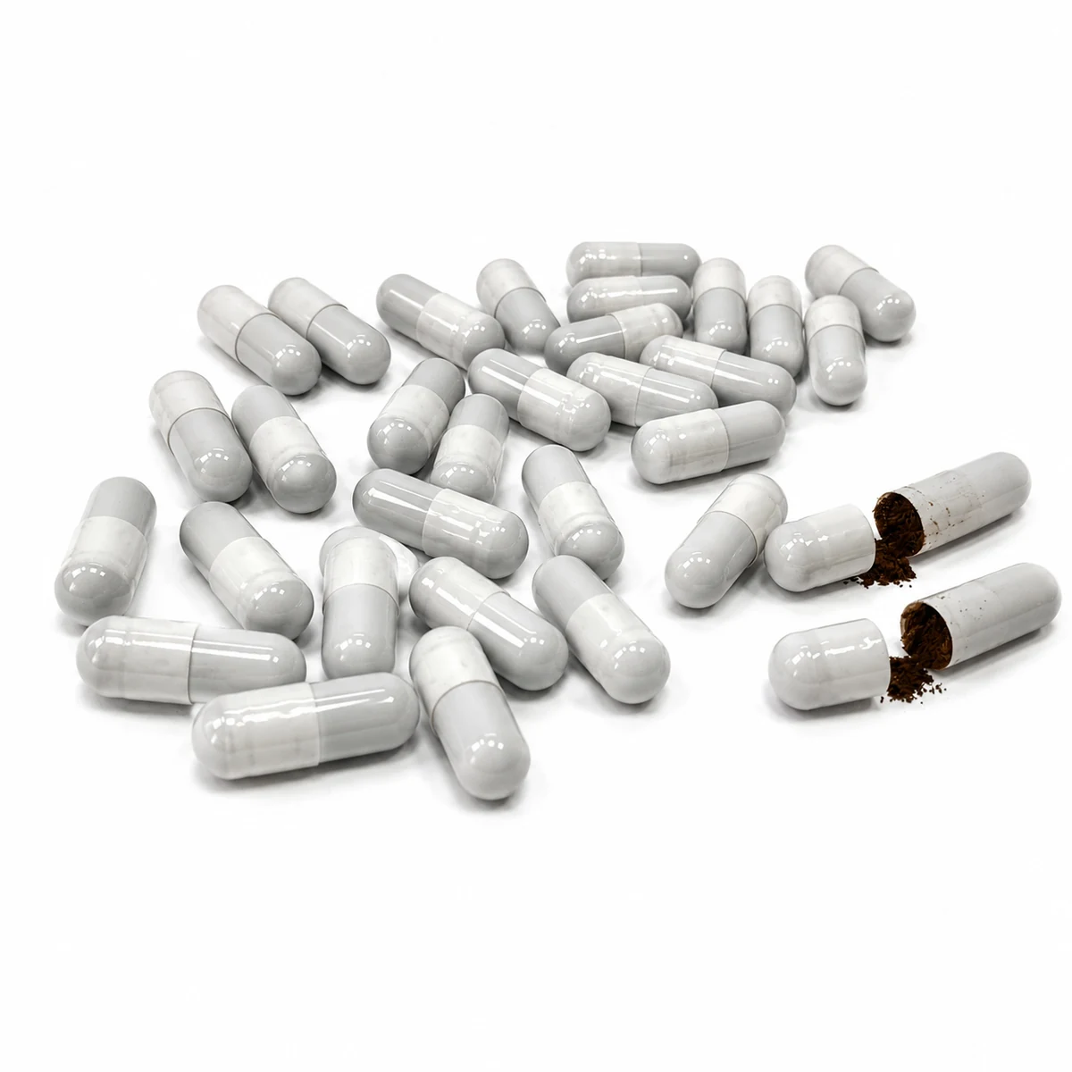 Chaga extract capsules wholesale product