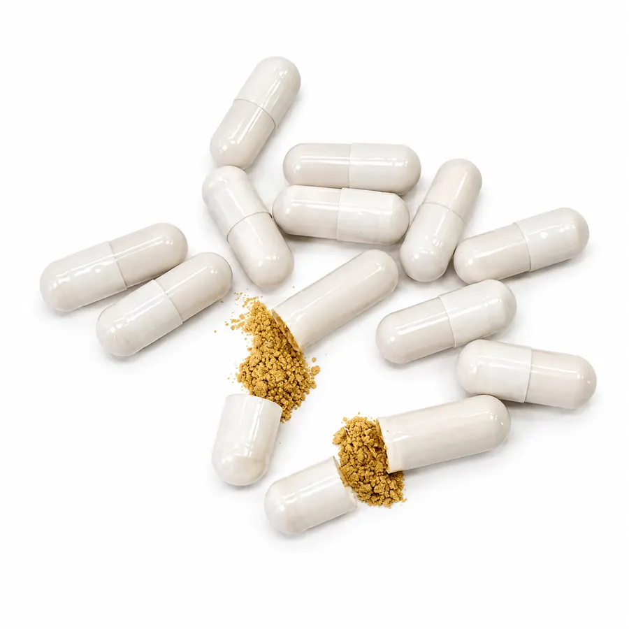 Cordyceps capsules
