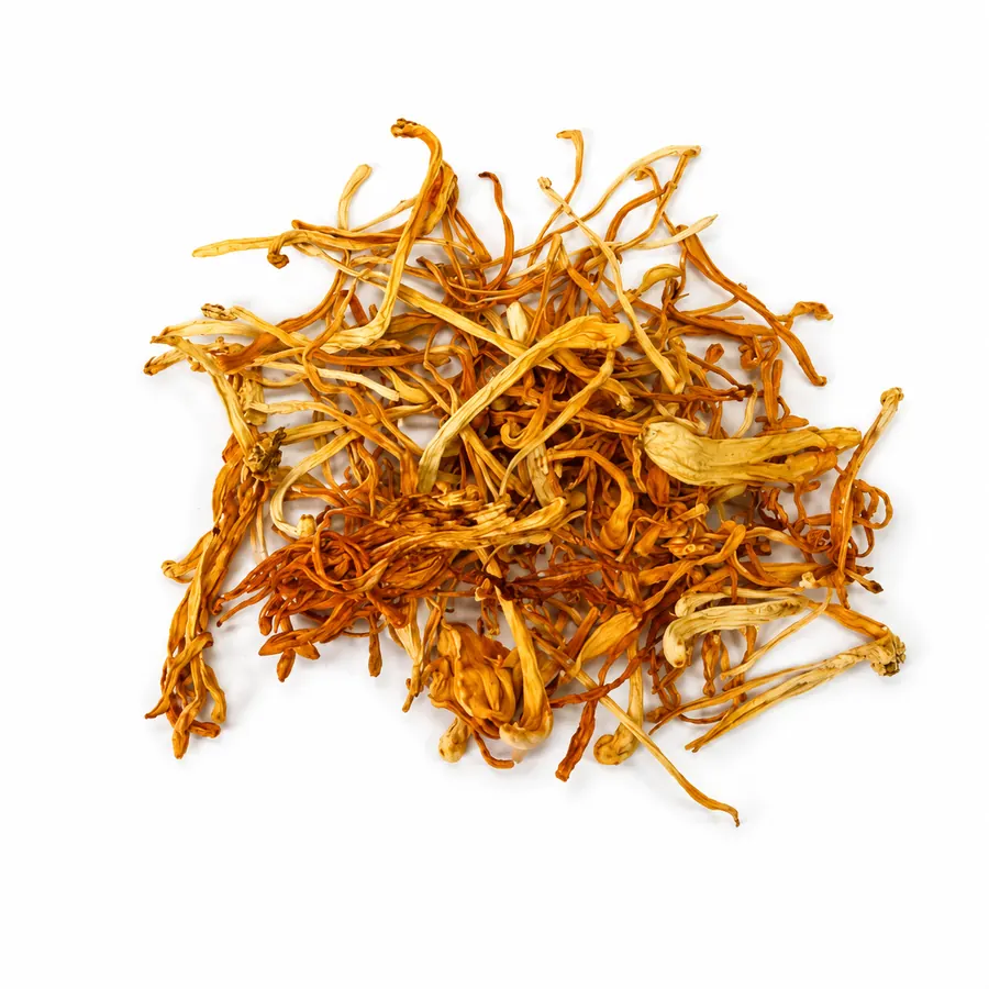 Dried cordyceps, grade 2