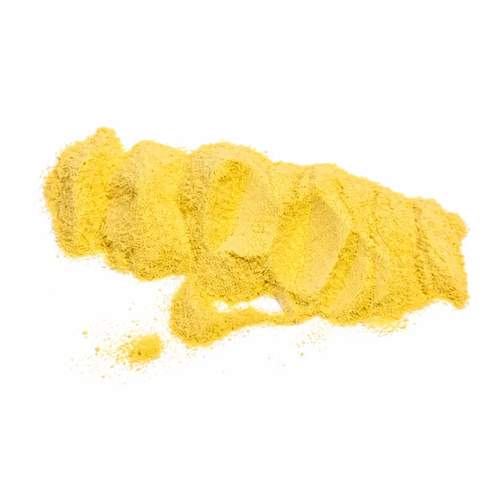 Ground Tremella