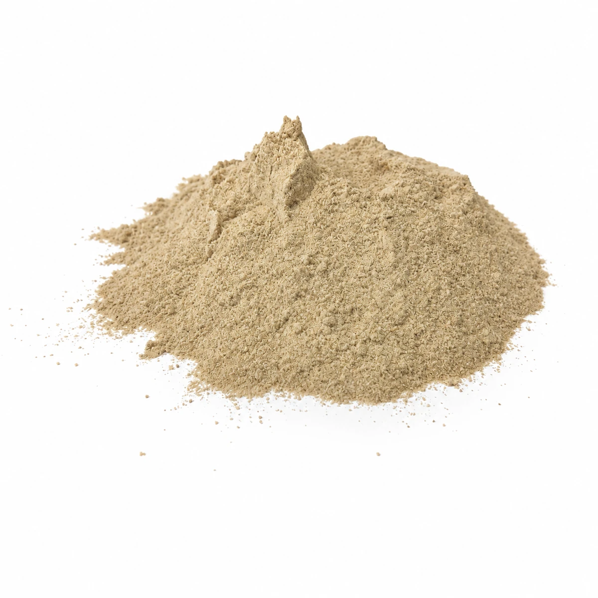 Lion's Mane mycelium - Mycelium powder