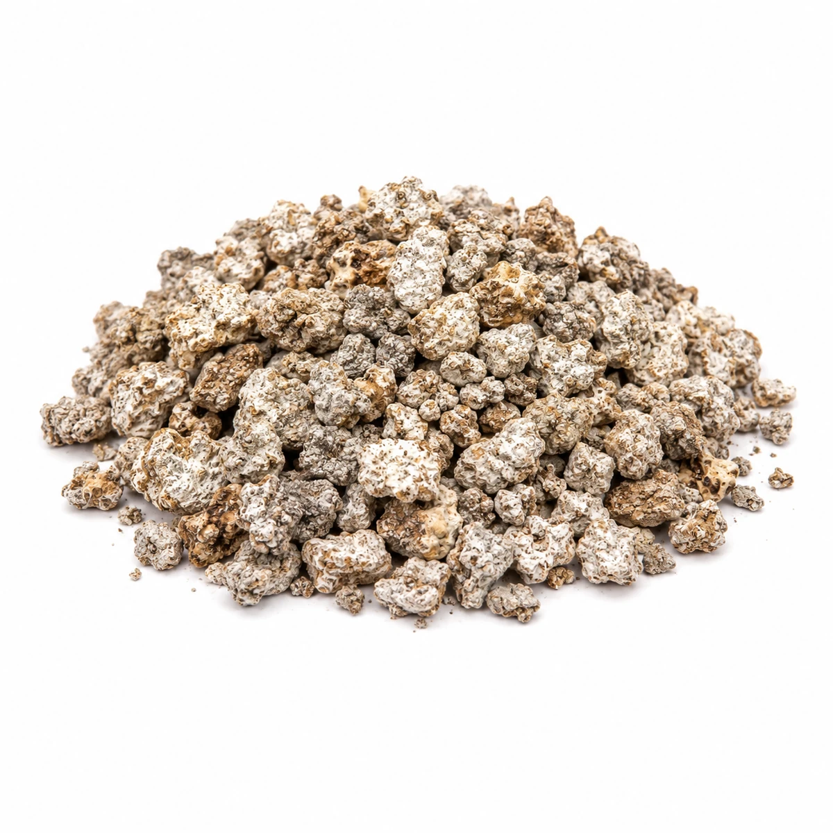 Lion's Mane mycelium wholesale products