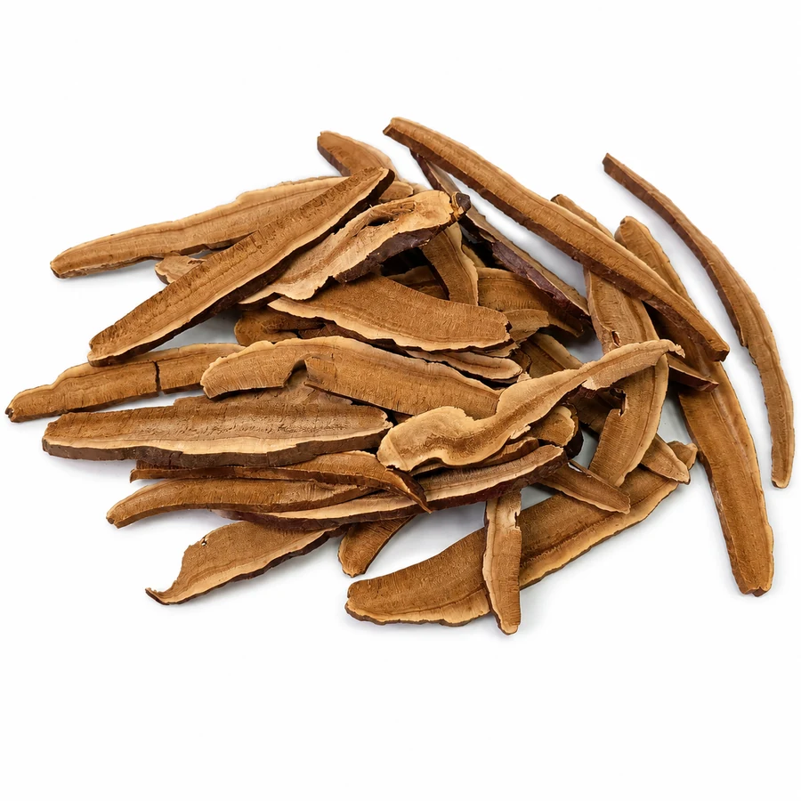 Reishi light slices