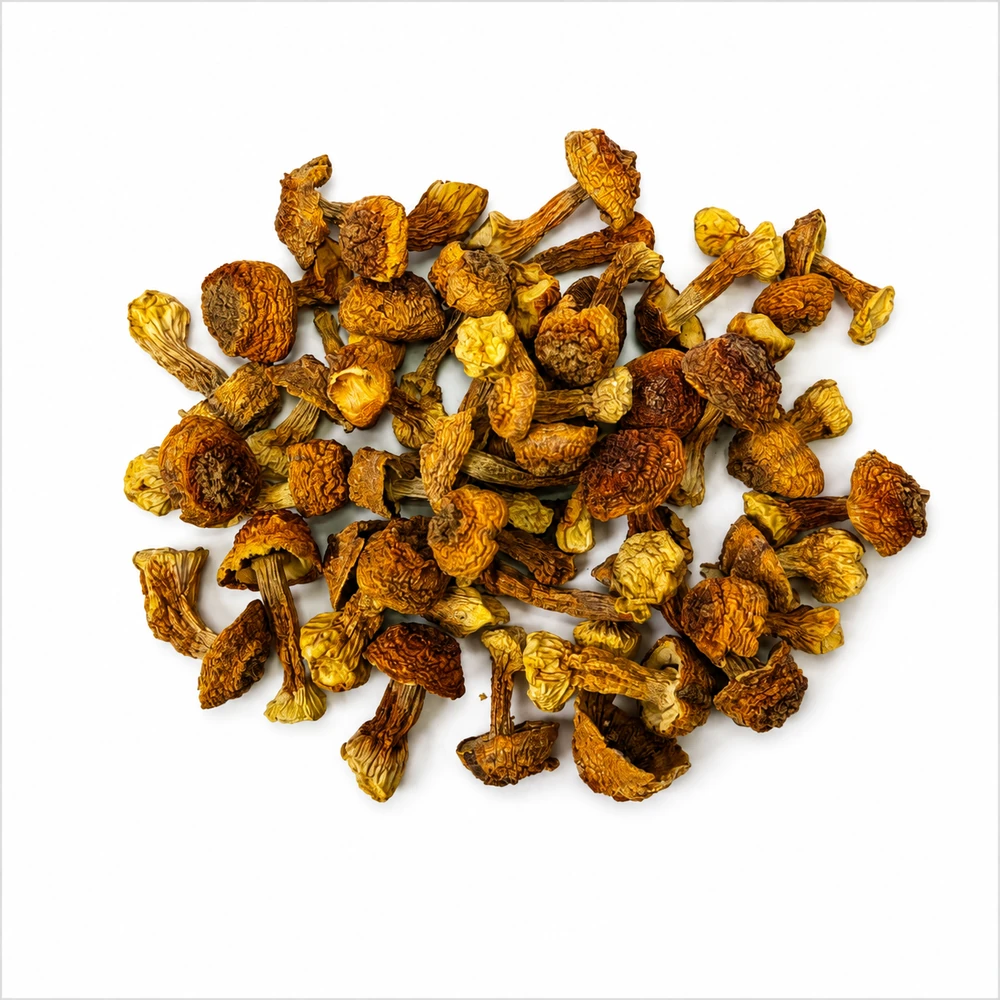 Royal Sun Agaricus wholesale products