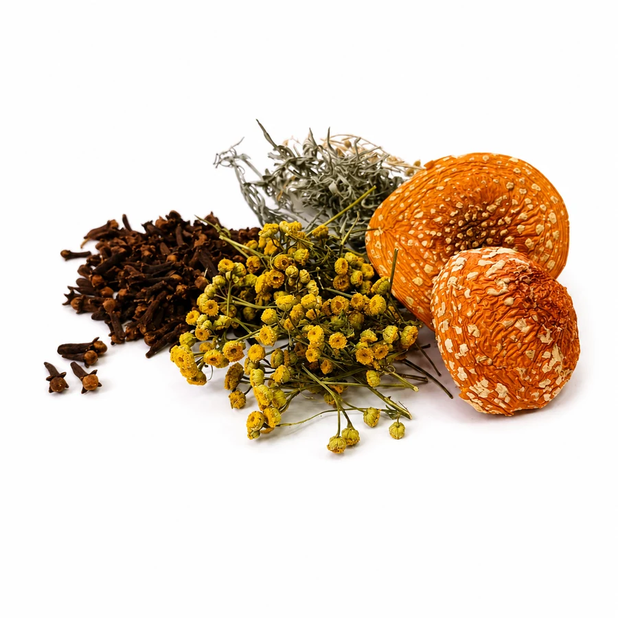 Triychatka with Amanita muscaria whole blend