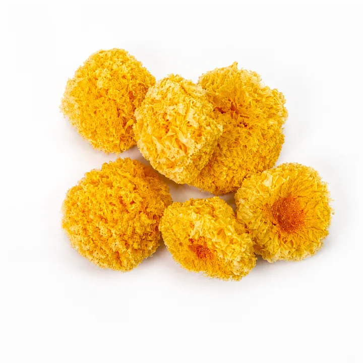 Tremella wholesale products